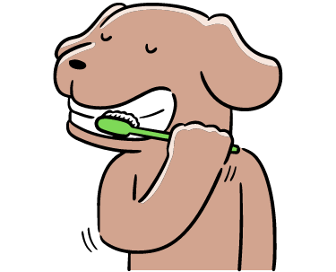 Dog-Toothbrush-Toy