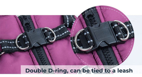 Close up of the double D-ring and zipper of a purple DogSki Sport™ - Waterproof Jacket Harness.